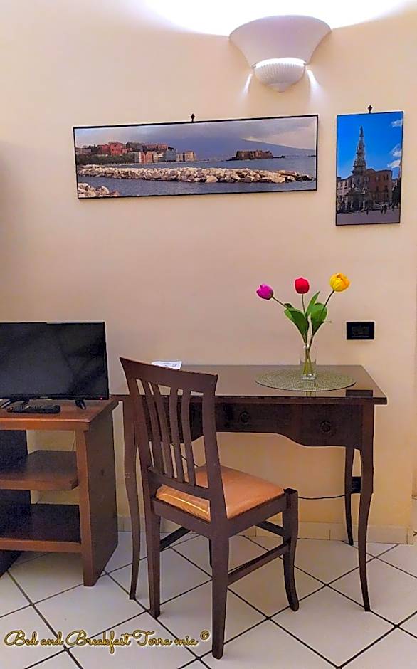 B&B Terra Mia Napoli