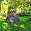 Hotel Falco D'Oro by Falco D'Oro Hotels