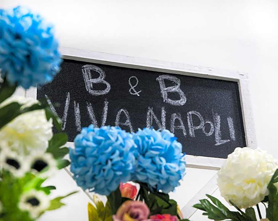 B&B VIVA NAPOLI