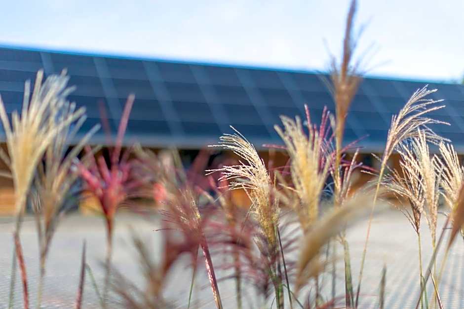 Lodges at Flimwell Park