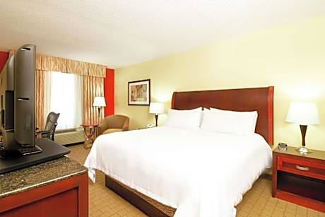1 King Bed