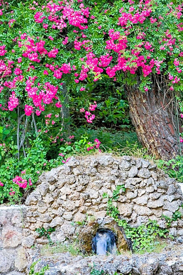 Hotel Rural Noguera de la Sierpe