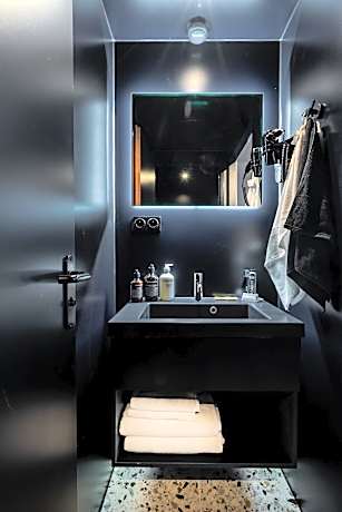 Bunk Bed in Mixed Dormitory Room