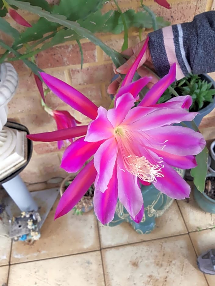 Mundaring Bed and Breakfast