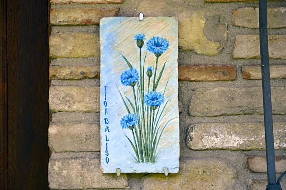 La Sorgente Del Subasio