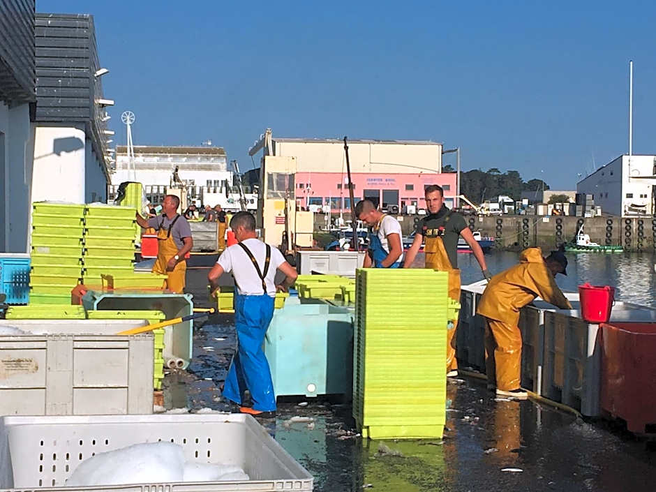 Appartement Design II - Port du Rosmeur -Douarnenez