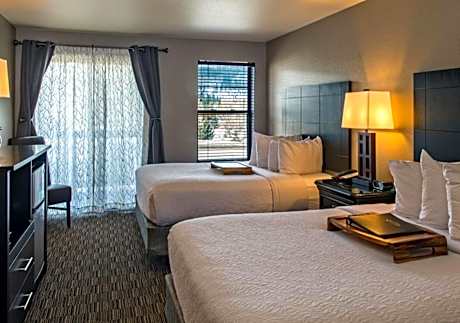 Double Room with Mountain View