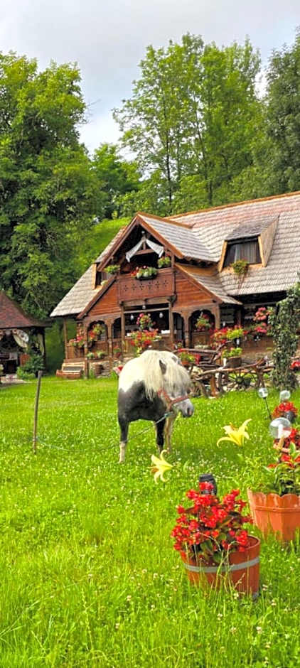 Pensiunea Rustic Oncesti