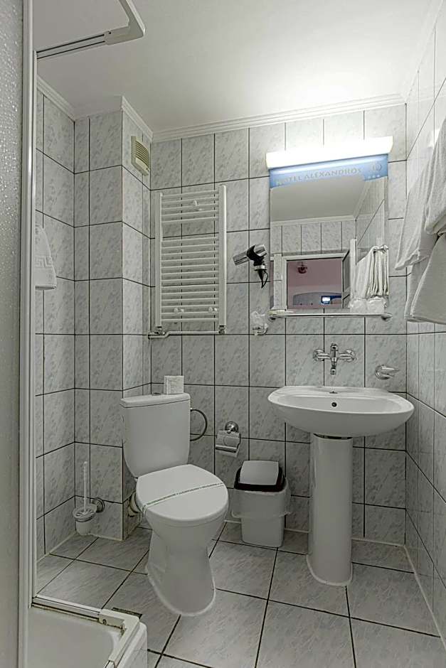 Hotel Alexandros Busteni
