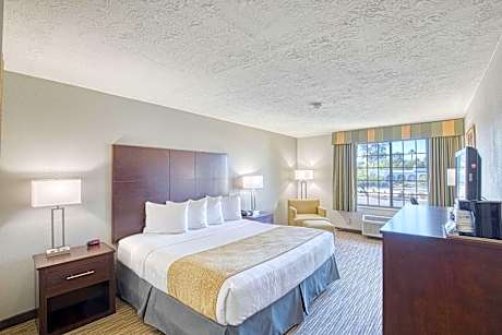 King Room with One King Bed - Non Smoking