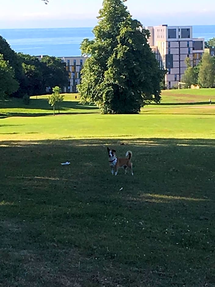 Wynberg House Bed & Breakfast Swansea