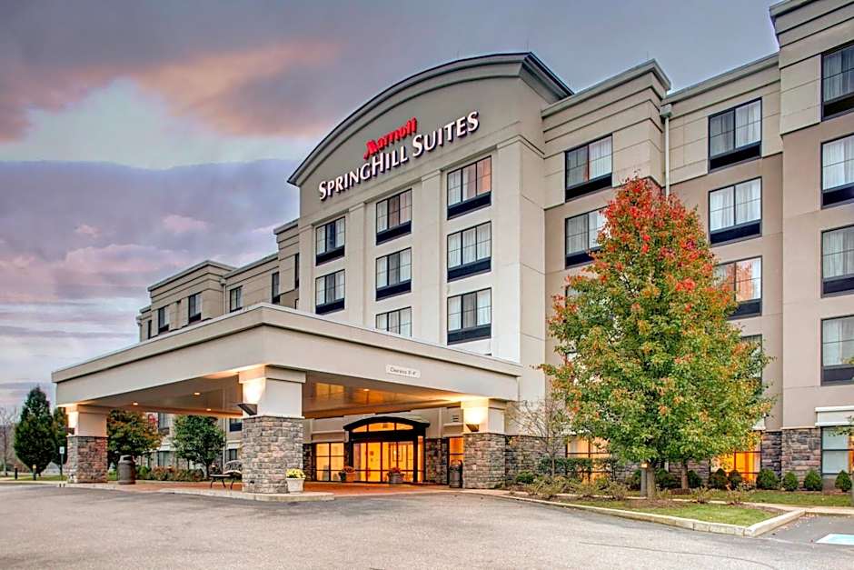 SpringHill Suites by Marriott Wheeling Triadelphia Area