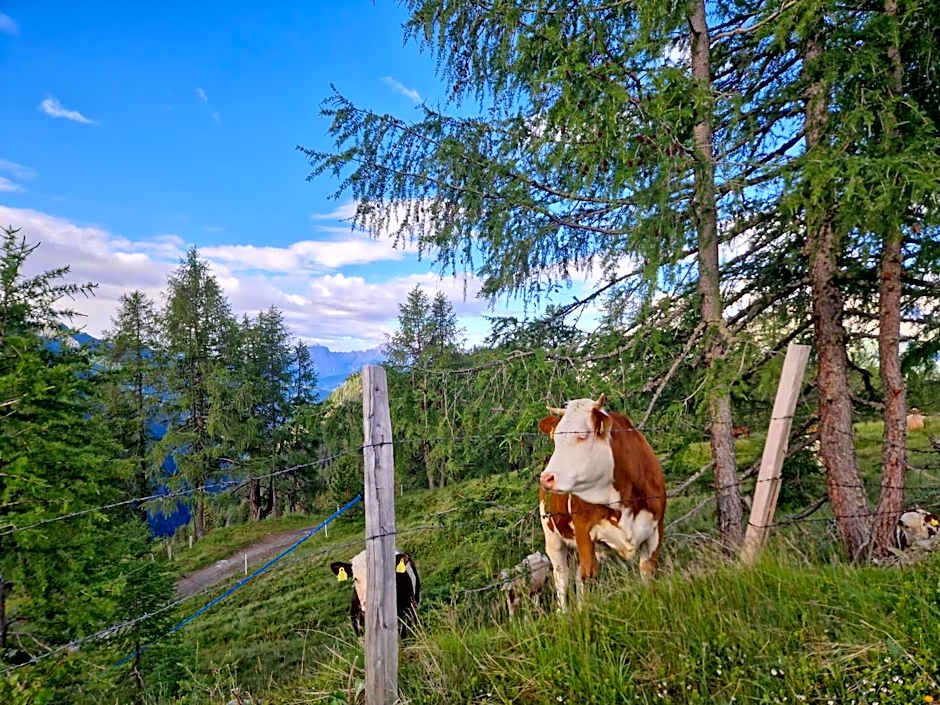 Almgasthaus Glocknerblick