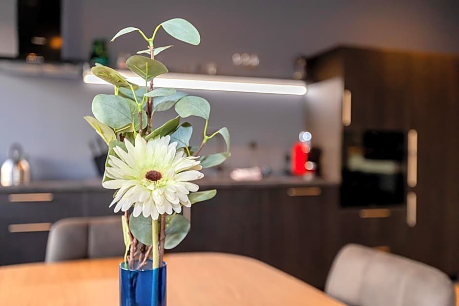 Akureyri Lux Apartments with hot tub access