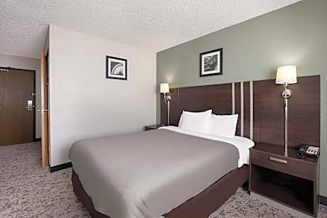 Queen Room - Disability Access/Non-Smoking