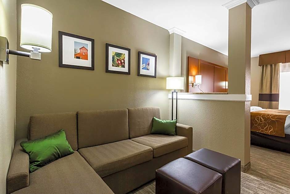 Comfort Suites University