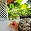 Coco Bay Guest House