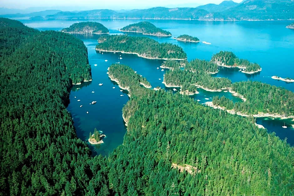 Shannaghs Sweet Escape