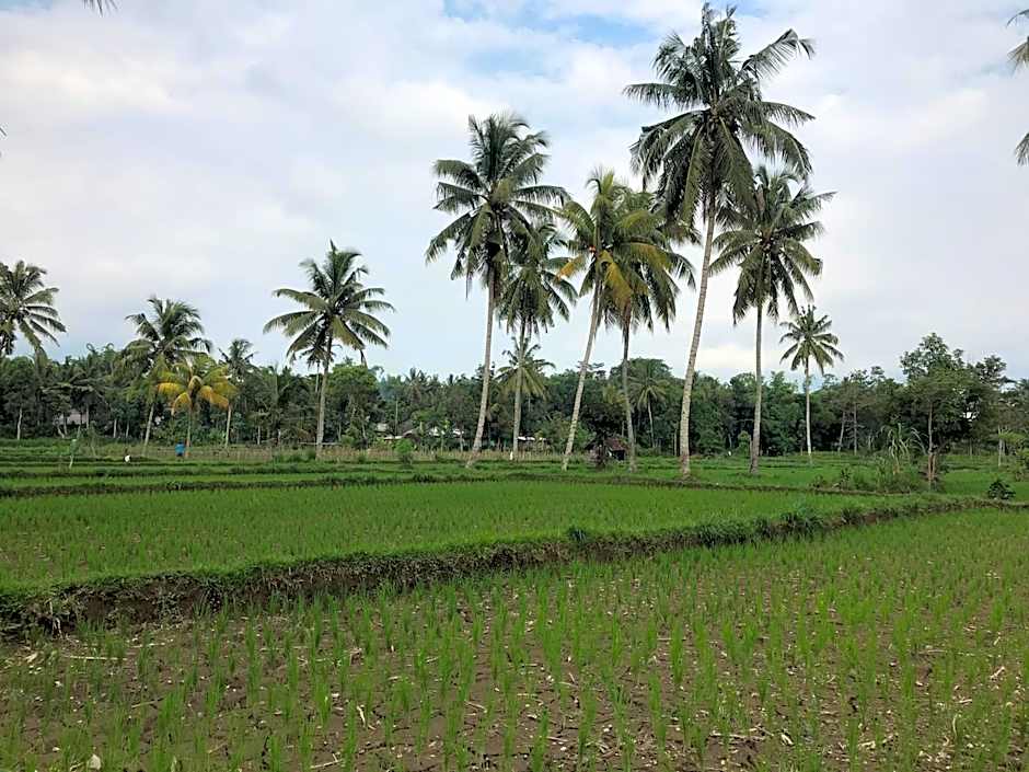 Pondok rinjani bungalow tetebatu