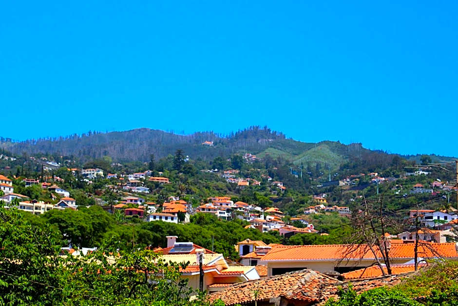 FX Pena