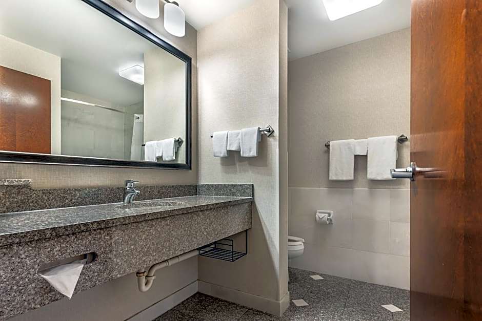Drury Inn & Suites St. Louis near Forest Park
