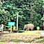 Borneo Jungle Adventure
