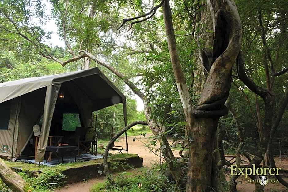 Explorer by Mahoora - Wasgamuwa