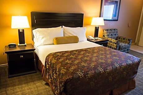 1 Queen Bed Non-Smoking