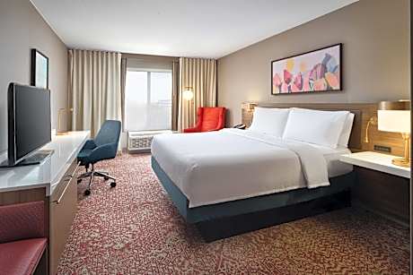 1 King Bed
