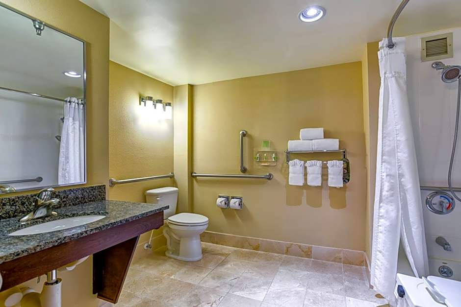 Holiday Inn Indianapolis North-Carmel By IHG