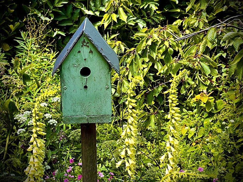 Home Farm Bed & Breakfast