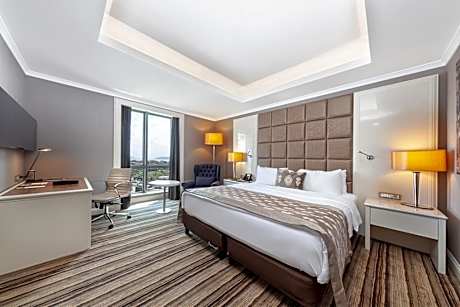 Superior Room with City View