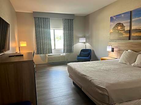 King Room - Pet Friendly/Non-Smoking