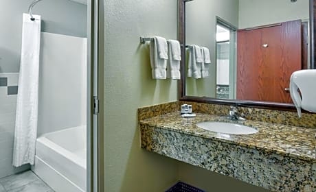 Deluxe King Suite - Non-Smoking
