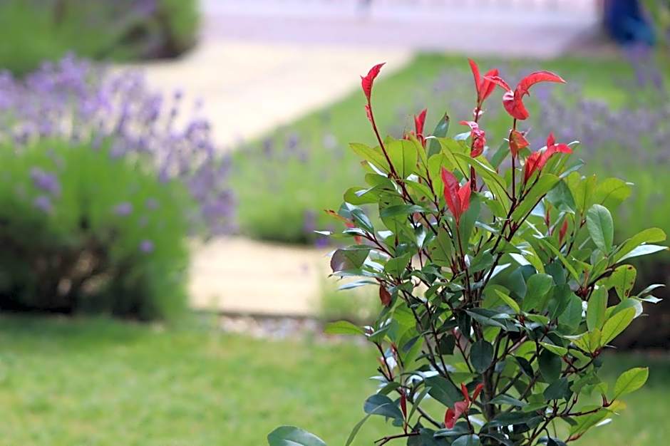 Grove Barn Bed and Breakfast