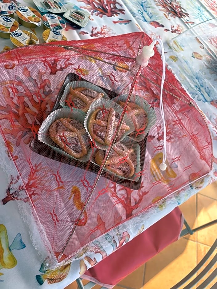 Centro estivo Il Piccolo Paradiso