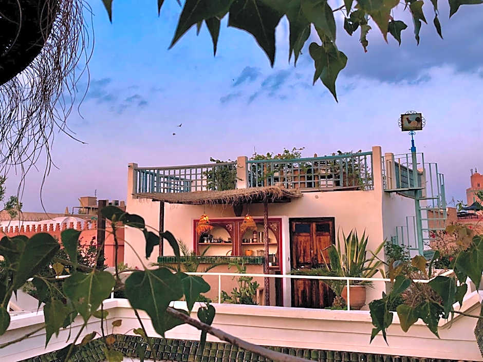 Riad Le Coq Berbère