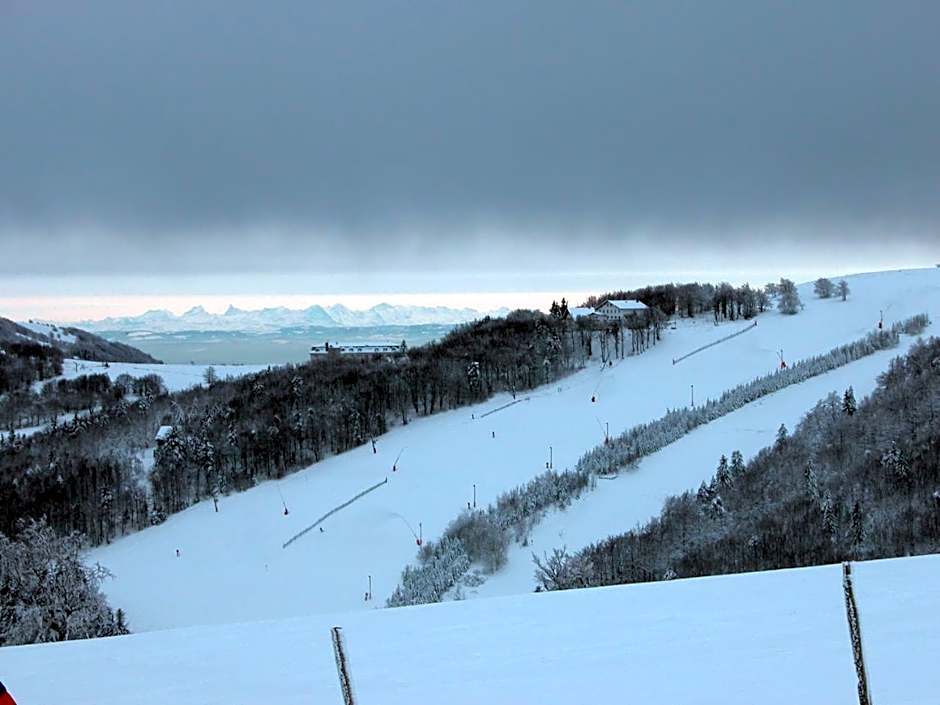 Hôtel Restaurant Wolf