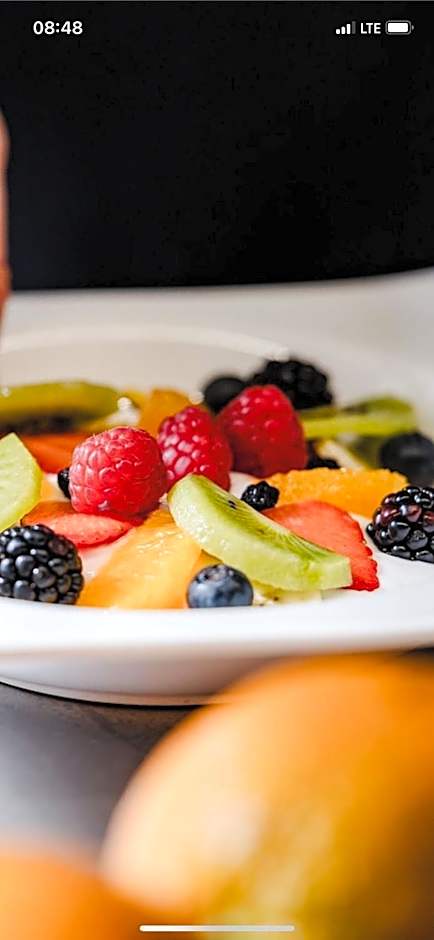 THERESET Schloss Groß Plasten