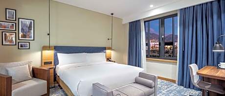 Deluxe One-Bedroom King Suite - Mountain View