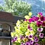 Maligne Lodge