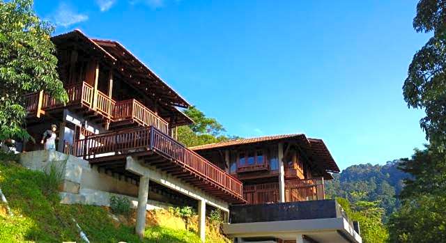 The Shorea