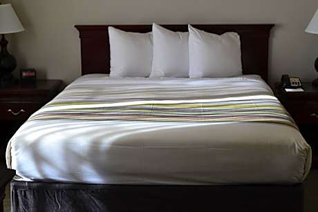 Queen Bed-1 Bedroom Suite-Non Smoking