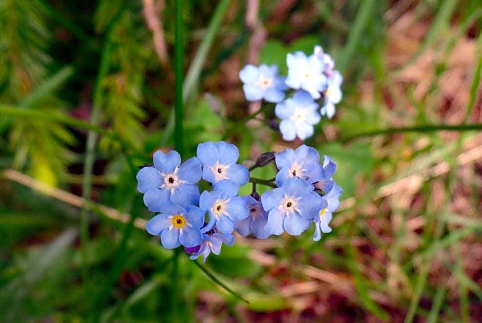 Le Temps d'une Pause
