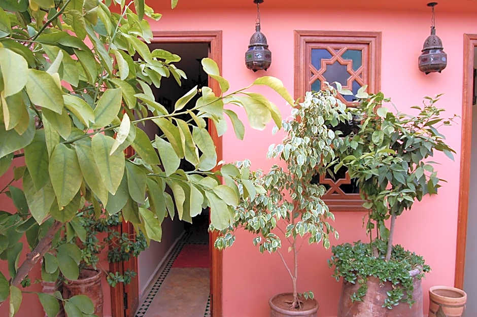 Riad Les Trois Palmiers El Bacha