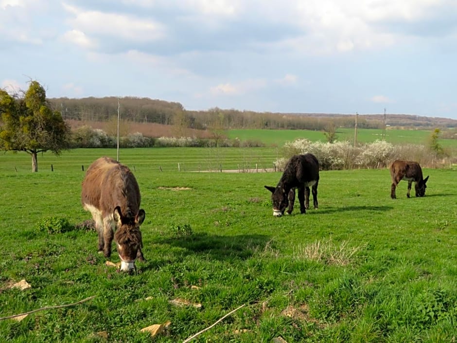 Ô prés d'ici Chambres d'hôtes