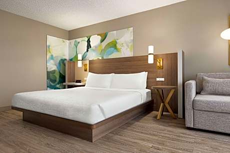 Deluxe King Room - Non-Smoking