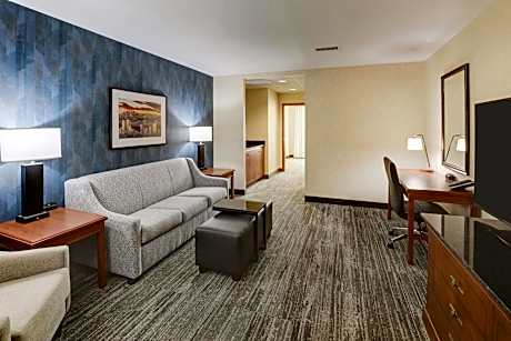 King Suite with Sofa Bed - Hearing Accessible