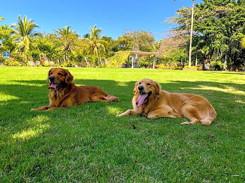 Puerto de Luna Pet Friendly and Family Suites