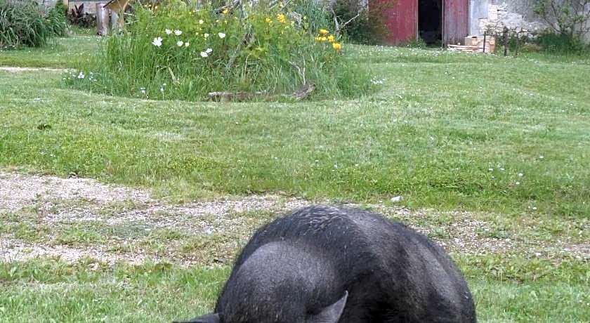 Eco Logis de Chantegrolle